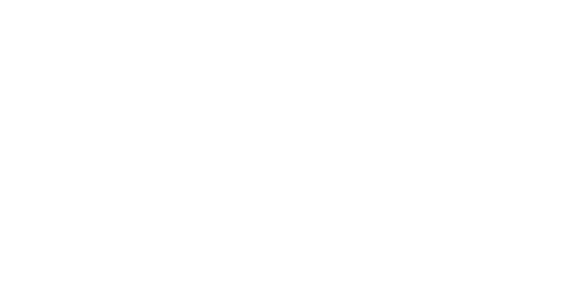 Lion Beach Resort